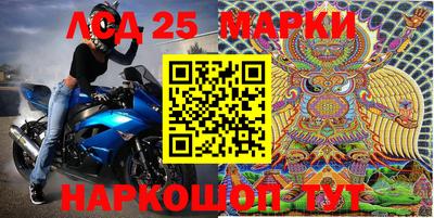 молекула духа Шелехов