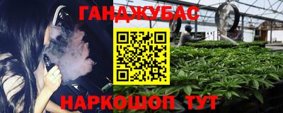 молекула духа Шелехов