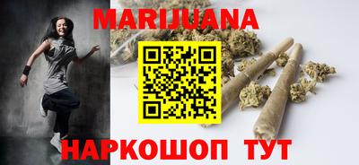 молекула духа Шелехов